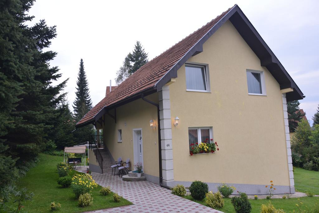 Dobrila Apartments Zlatibor Kültér fotó