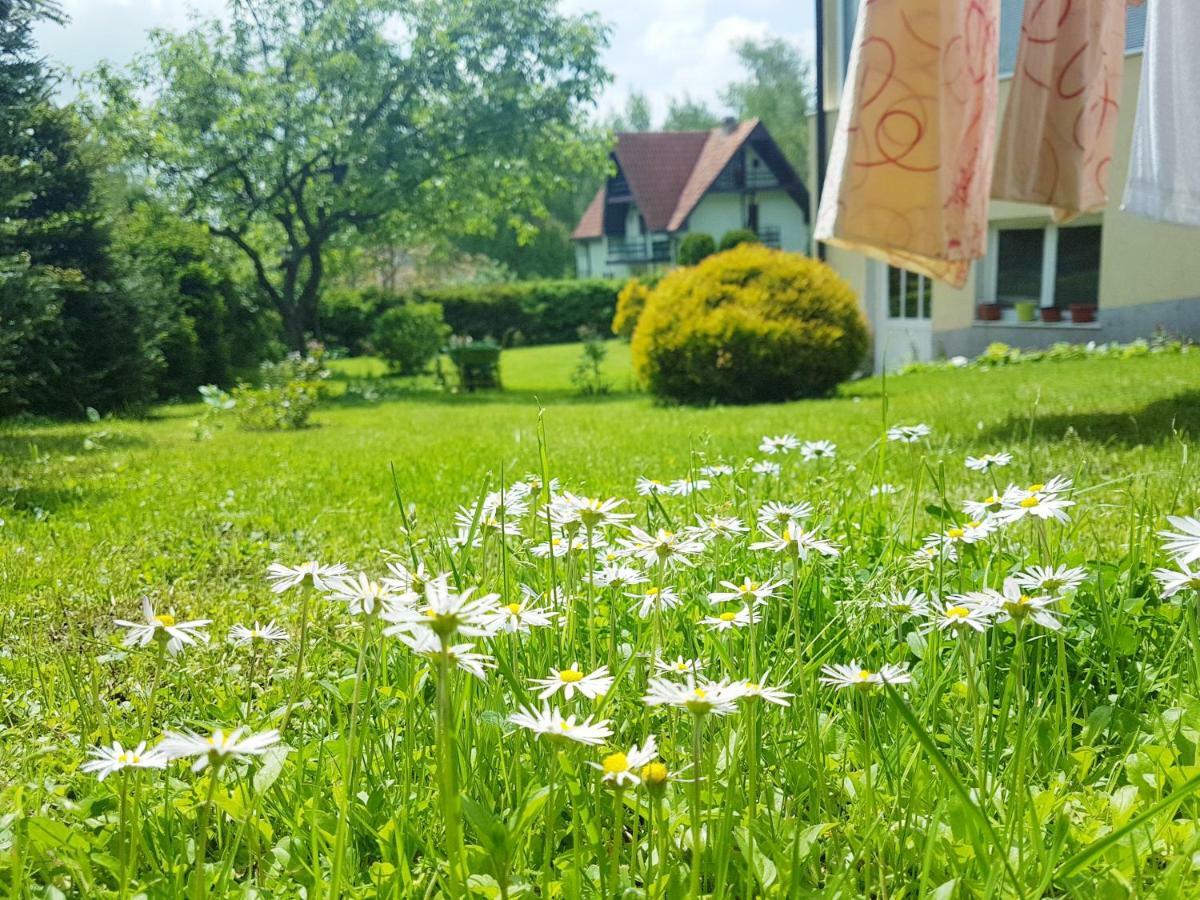 Dobrila Apartments Zlatibor Kültér fotó